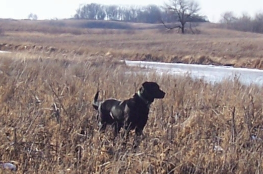 000_0412.jpg